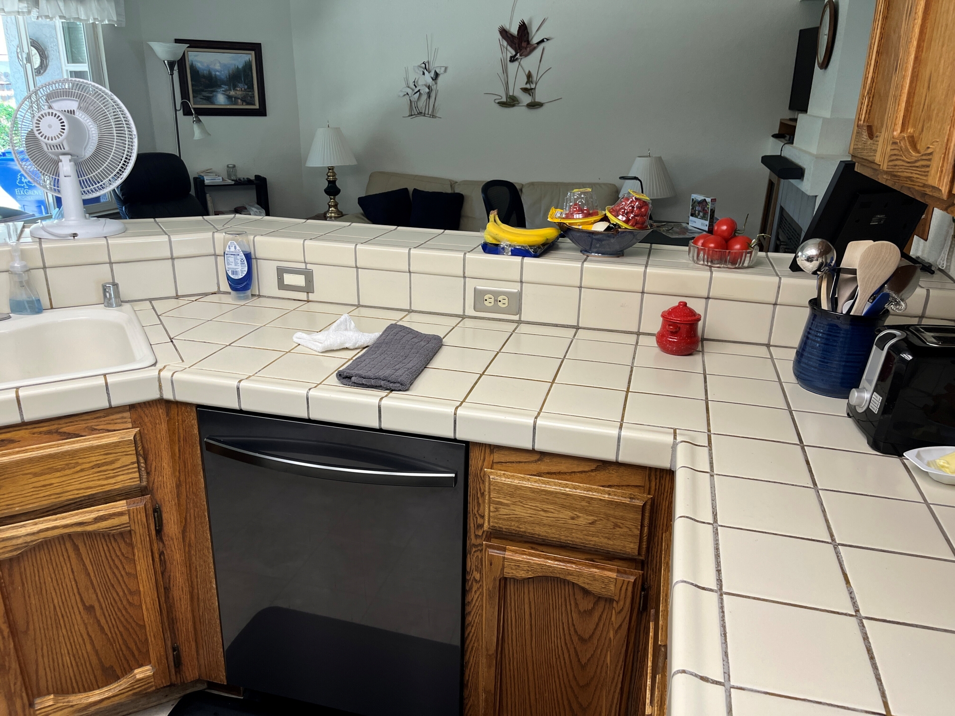 Elk Grove Countertop replacement before